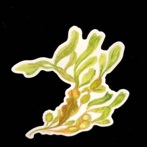 Seaweed Sticker