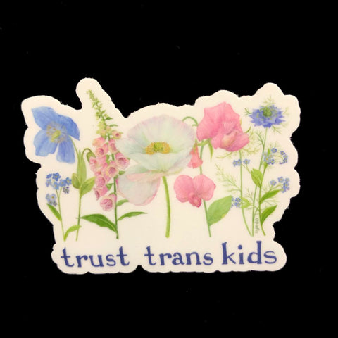 Trust Trans Kids Sticker