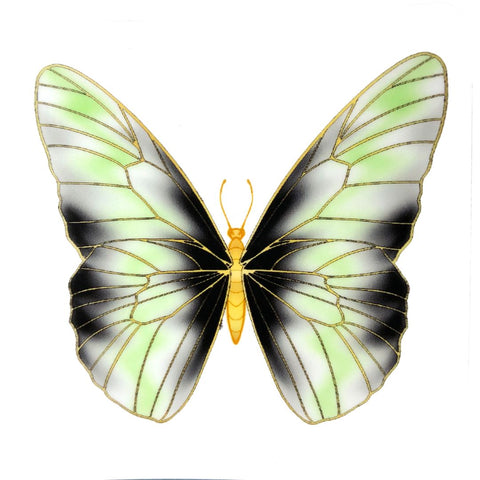 Agender Butterfly sticker