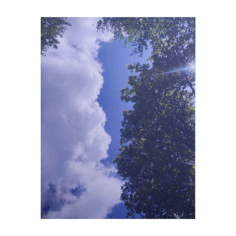 Tree and Cloud Card