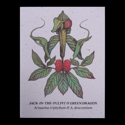 Jack in the Pulpit & Green Dragon Plantable Herb Seed Card