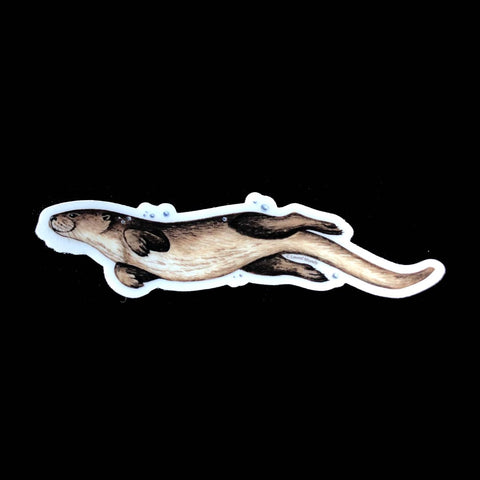 Swimming River Otter sticker
