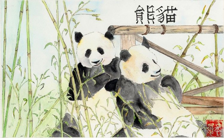 P is for Panda Card