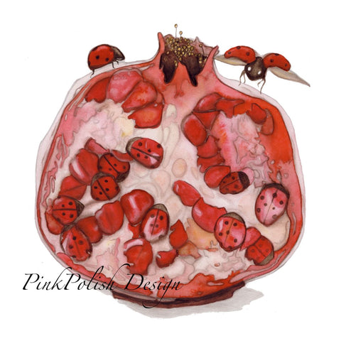 Pomegranate Surprise Art Print