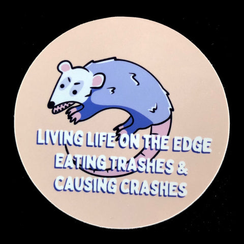 Cute Opossum Trash Sticker