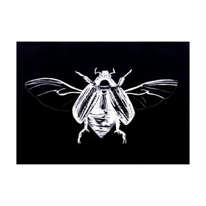 Scarab Beetle Print - 5 x 7