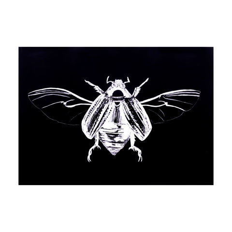 Scarab Beetle Print - 5 x 7