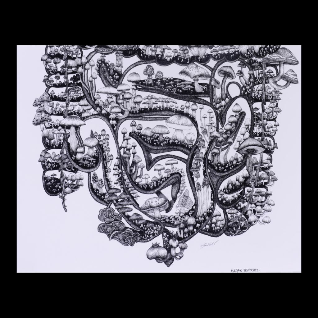 Mushroom Guts Print 16 x 20