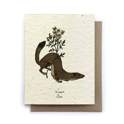Weasel Rue - Plantable Wildflower Card