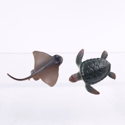 Turtle & Stingray Post Earrings