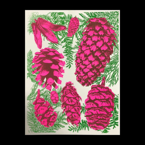 Pink Pinecones Print