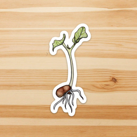 Kidney Bean Sprout Sticker