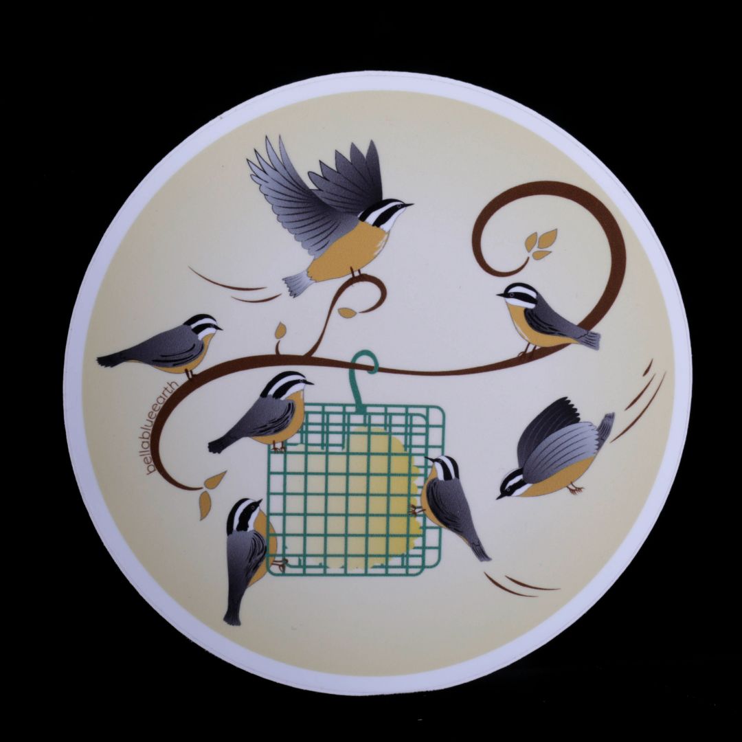 Nuthatch Party Sticker