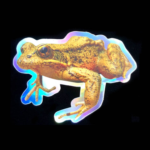 Holographic Pond Frog (Genus Rana) Sticker, 3"x2.5"