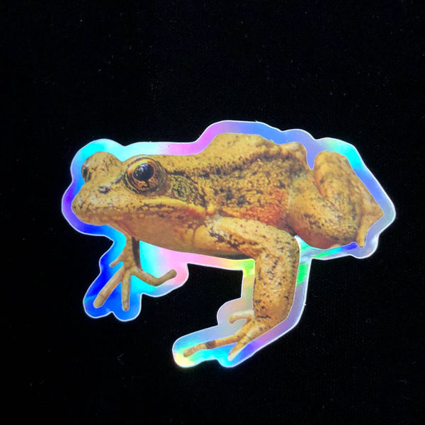 Holographic Pond Frog (Genus Rana) Sticker, 3"x2.5"