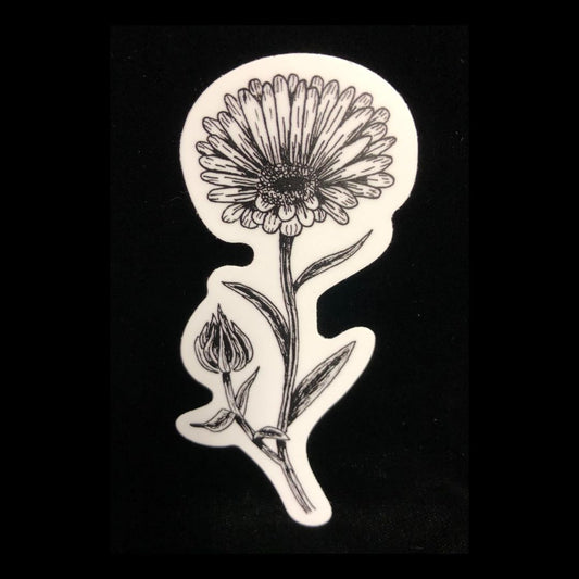 Calendula Sticker