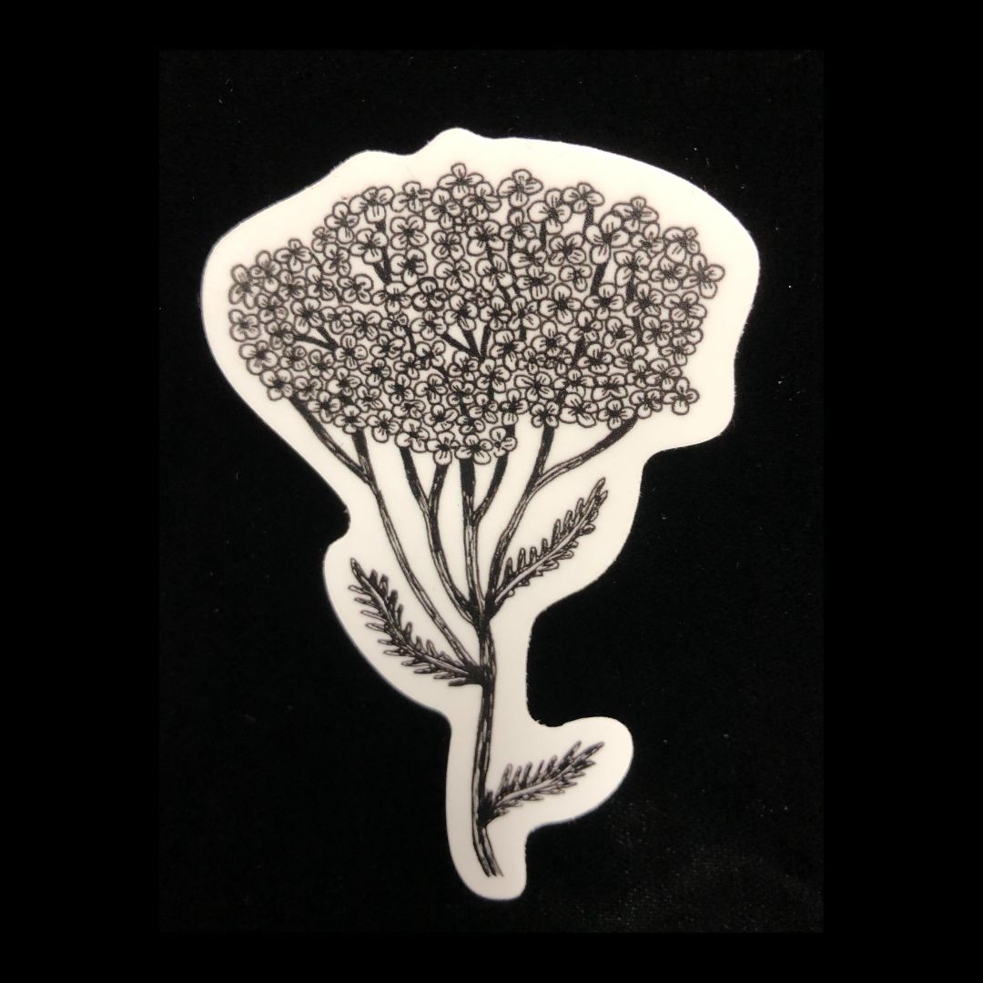 Yarrow Sticker