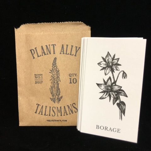 Plant Ally Vol 1 Mini Poetry Oracle Deck