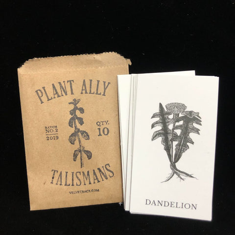 Plant Ally Vol 2 Mini Poetry Oracle Deck