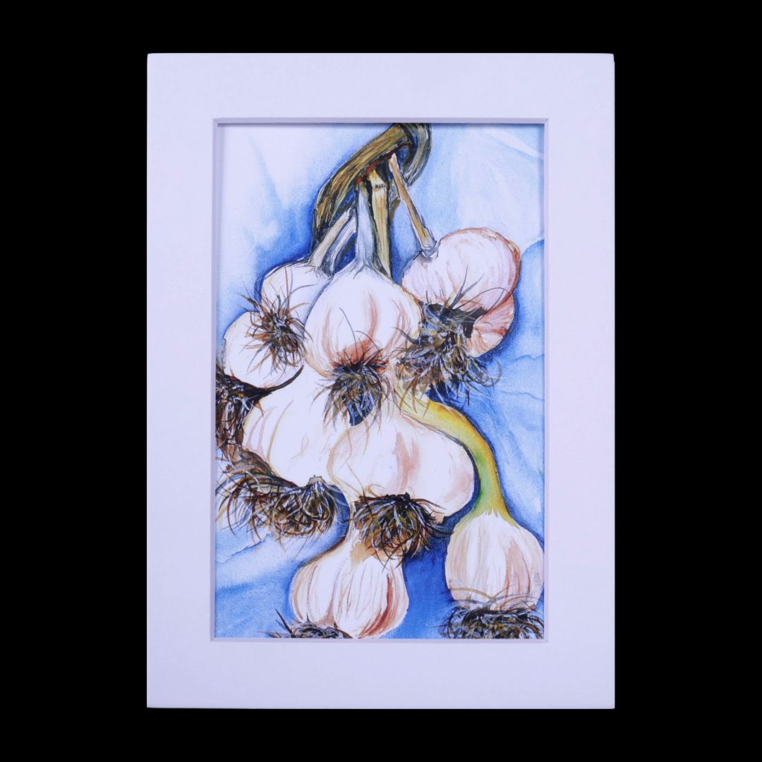 Matted Print of Garlic