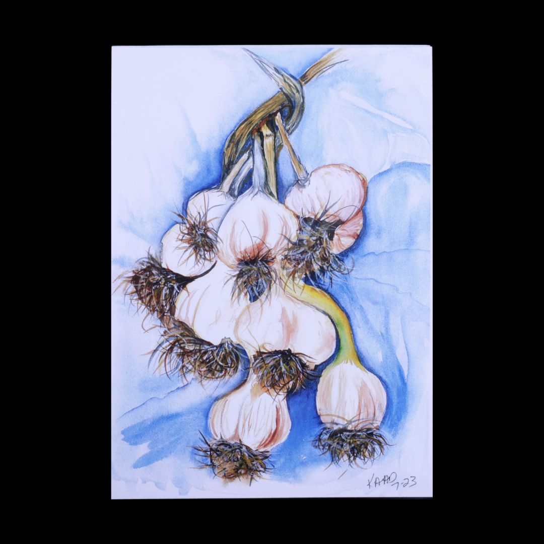 Matted Print of Garlic