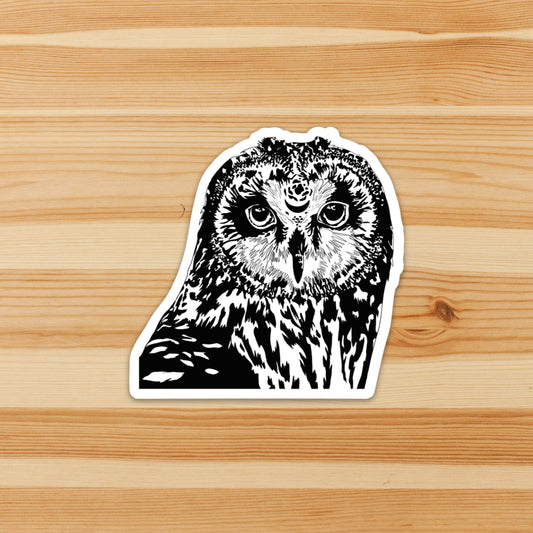 Moon Owl Sticker