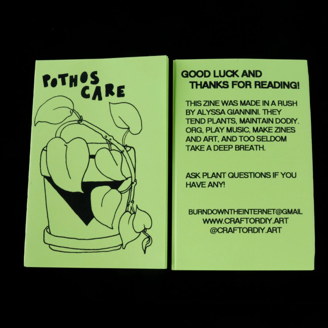 House Plant Care Mini Zine - Pothos