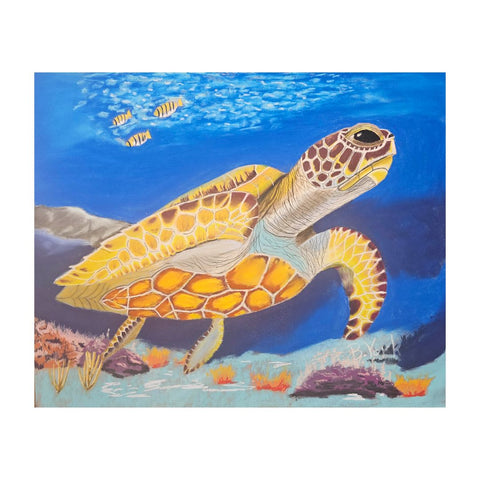 Green Sea Turtle - Original Pastel