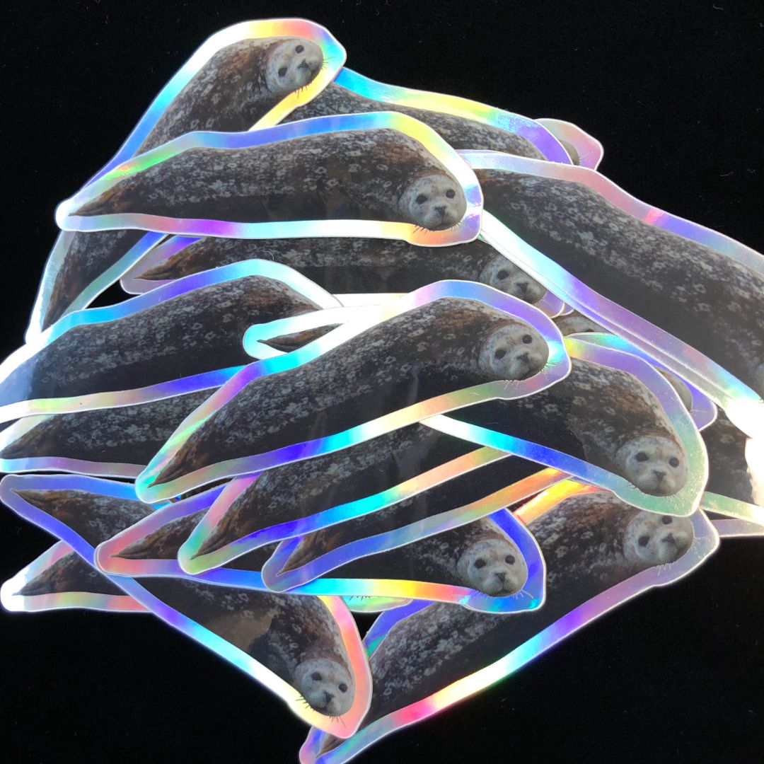 Harbor Seal - Holographic Sticker