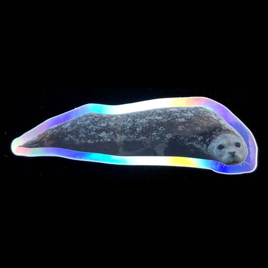 Harbor Seal - Holographic Sticker