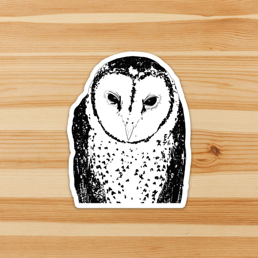 Spotted Barn Owl Sticker