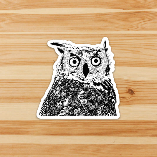 Stunned Owl Sticker