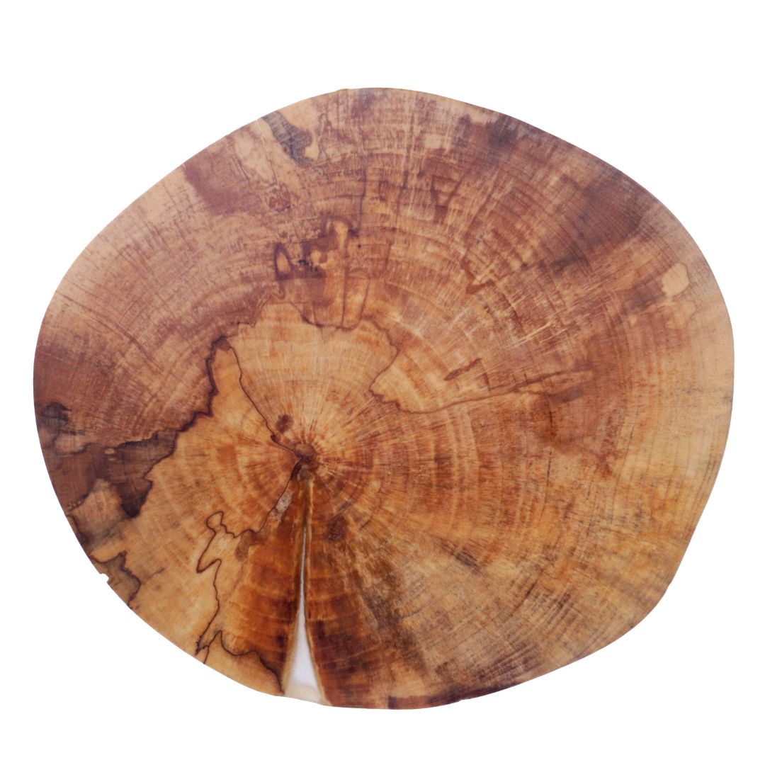 Decorative Round, unknown spalted #5