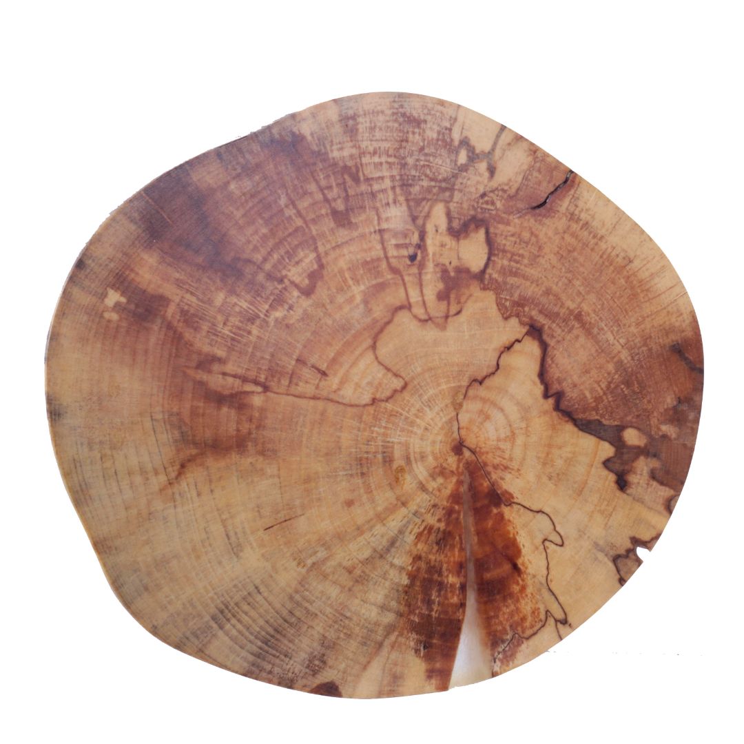 Decorative Round, unknown spalted #5