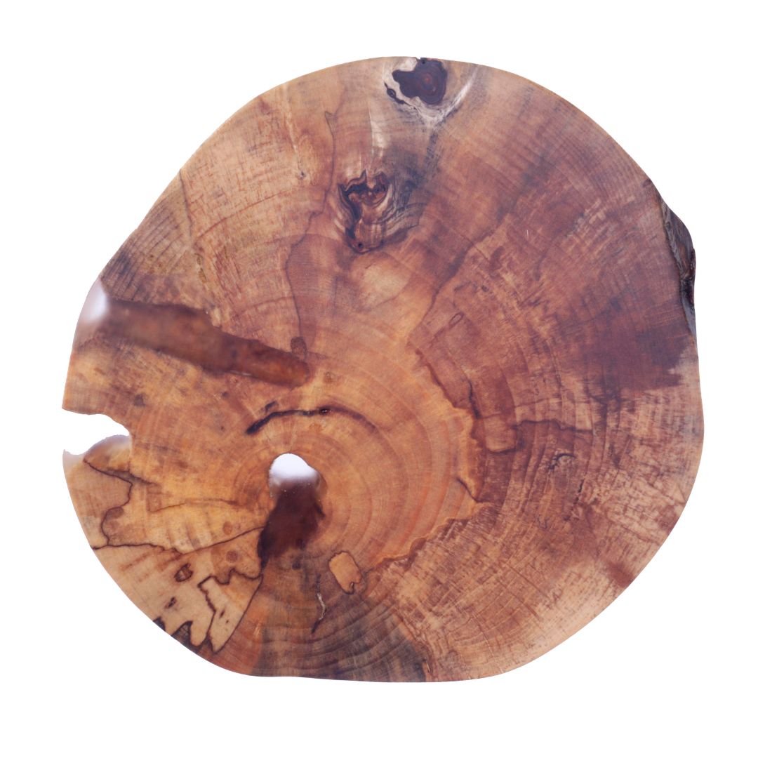 Decorative Round, unknown spalted #2