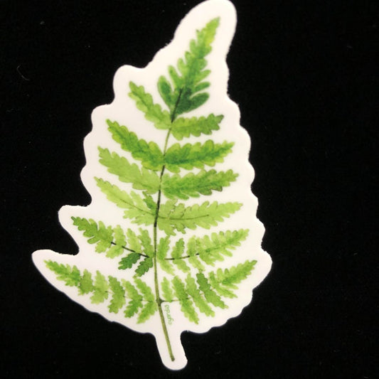 Oak Fern Sticker