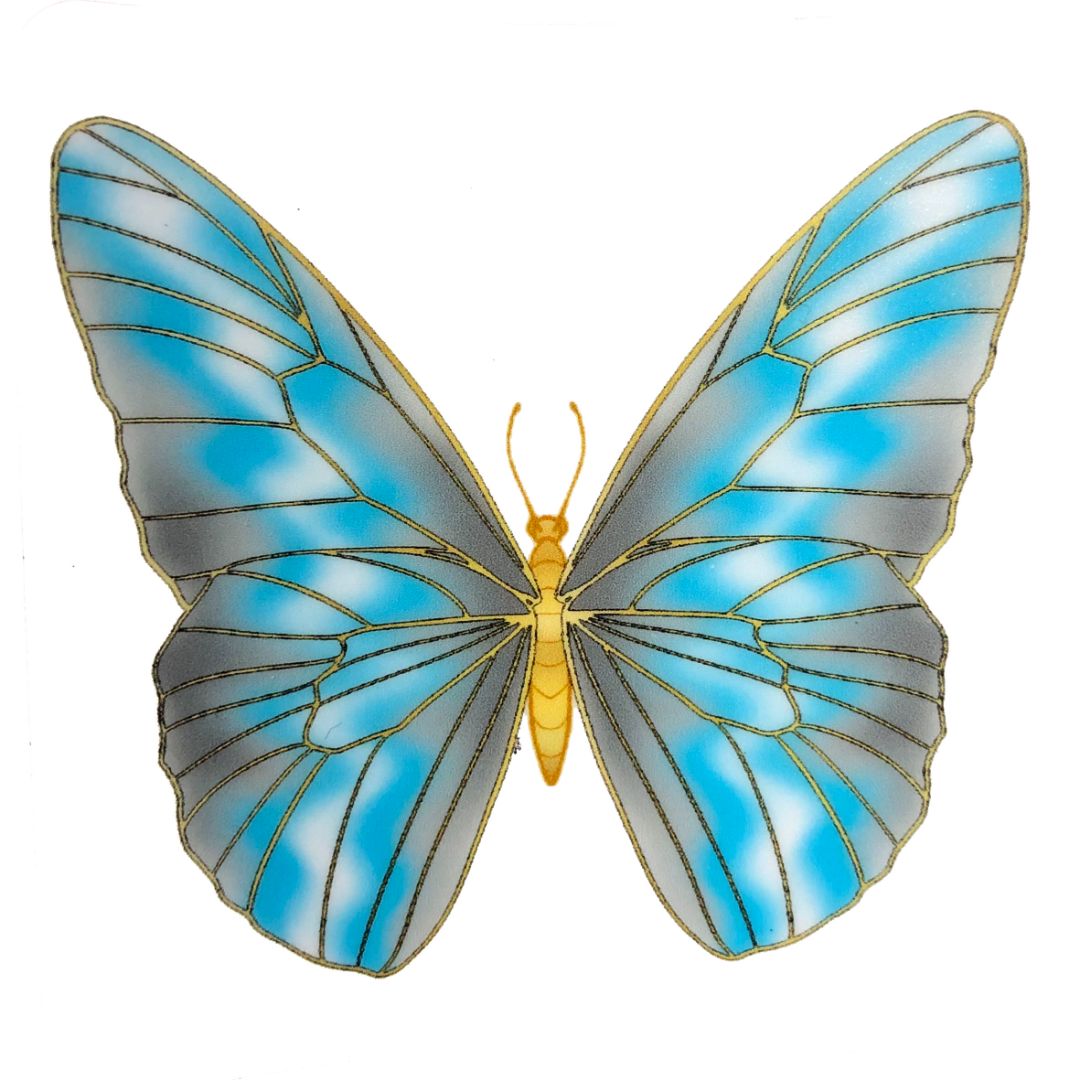 Demiboy Butterfly sticker