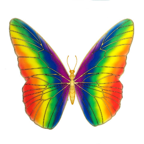 Rainbow butterfly sticker