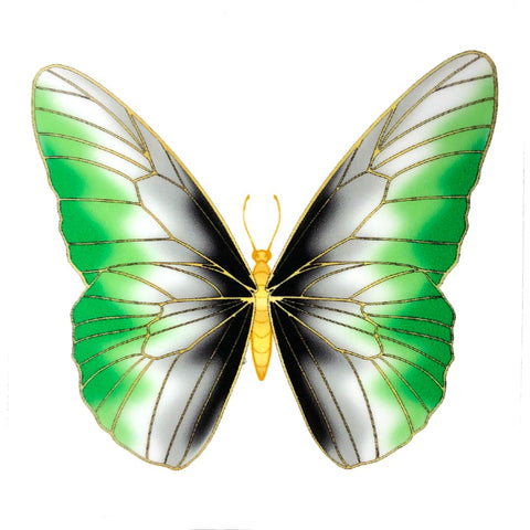 Aromantic Butterfly sticker