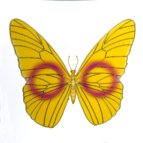 Intersex Butterfly sticker
