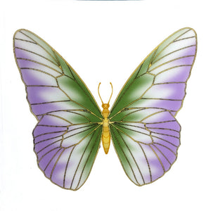 Genderqueer Butterfly sticker