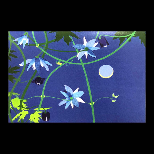 Evening Clematis Card