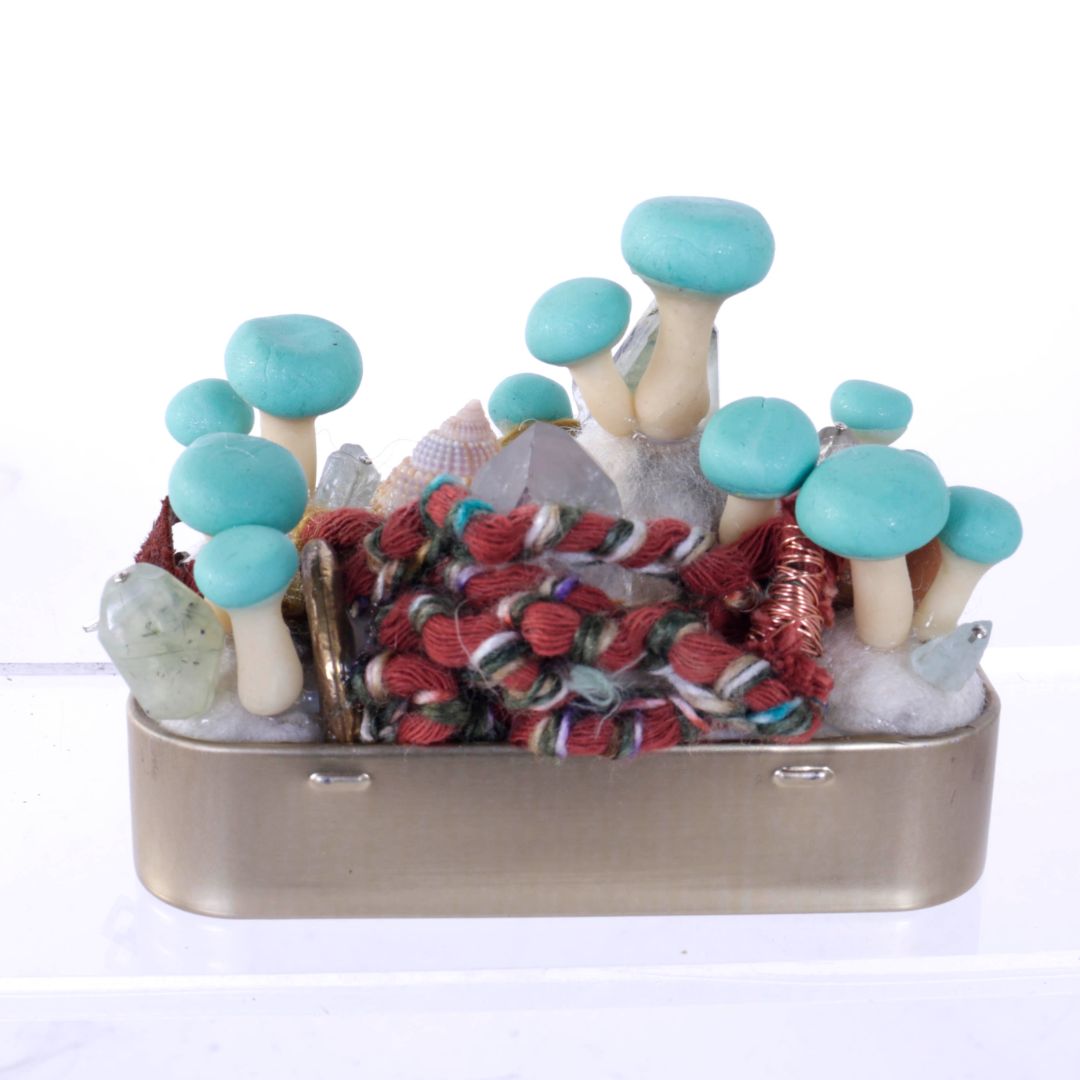 Mushroom Tin