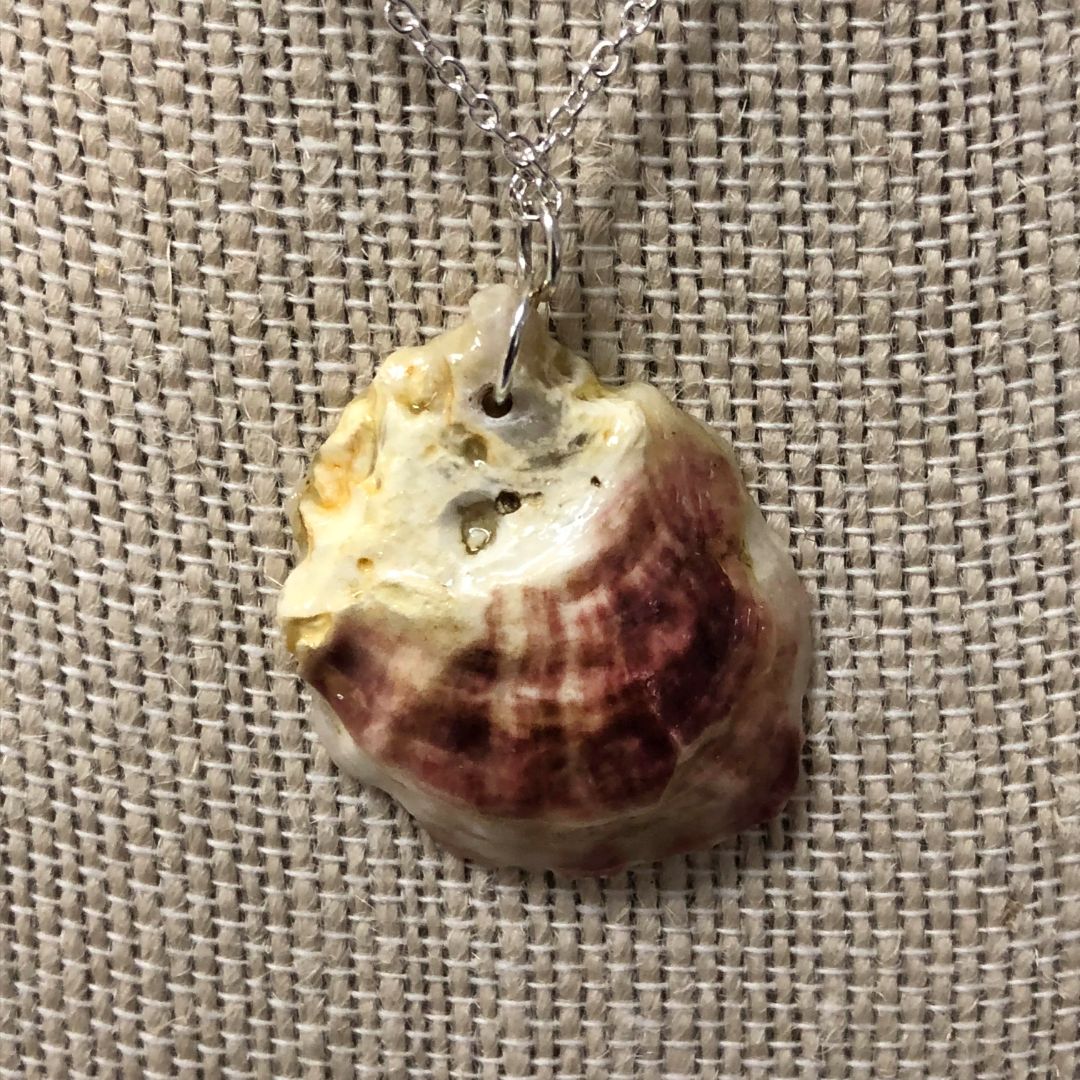 Natural - Oyster Shell Necklace