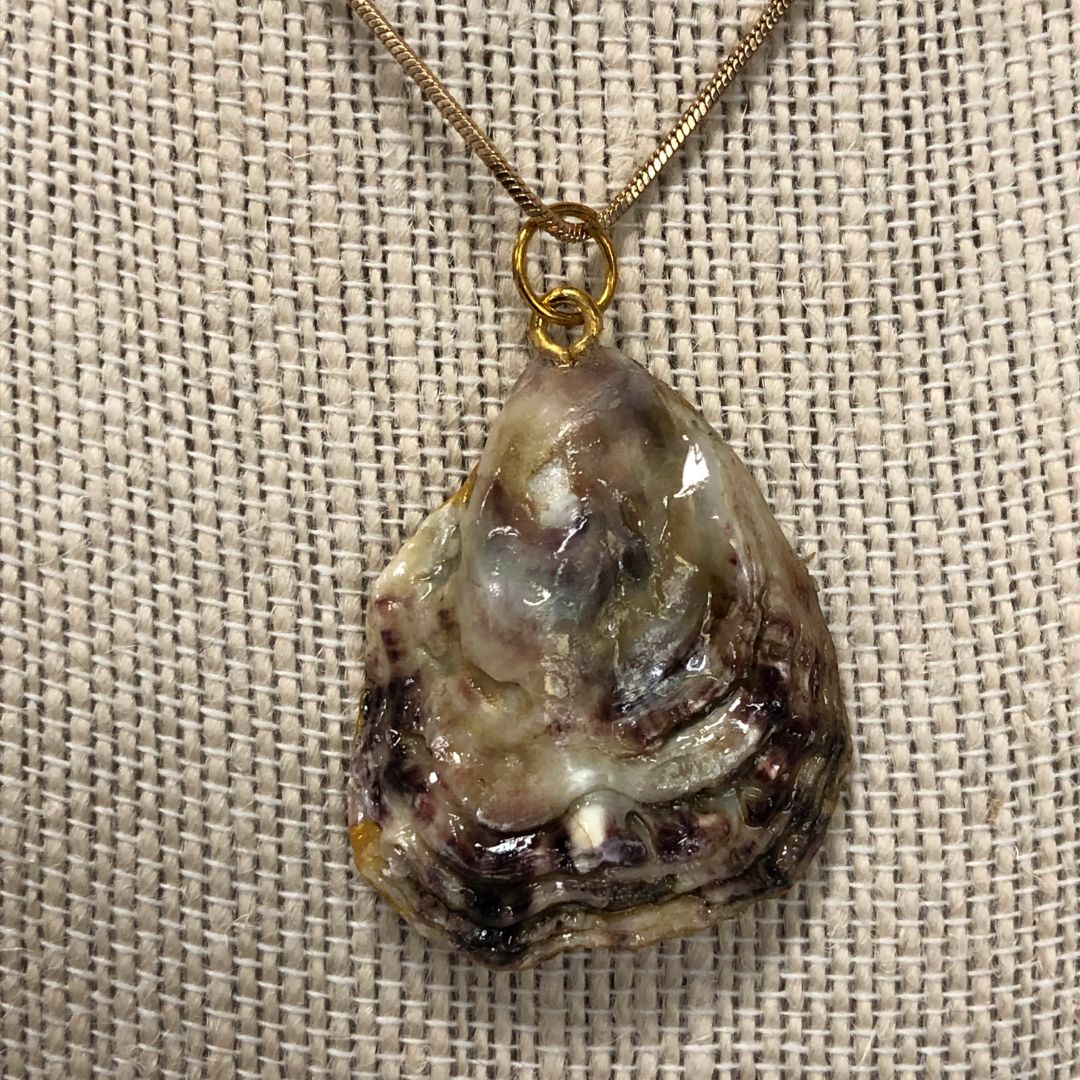 Oly Beer Oyster Shell Necklace