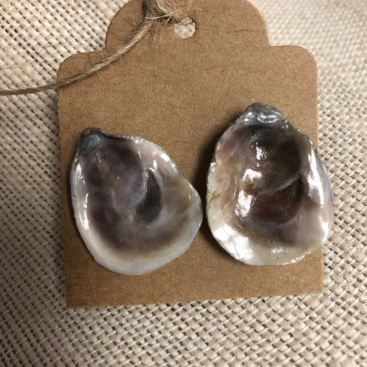 Oyster Shell Earrings