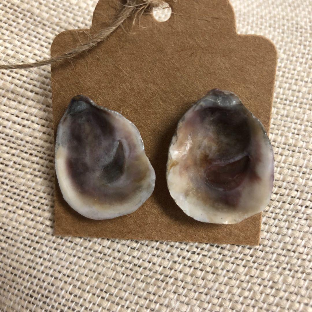 Oyster Shell Earrings