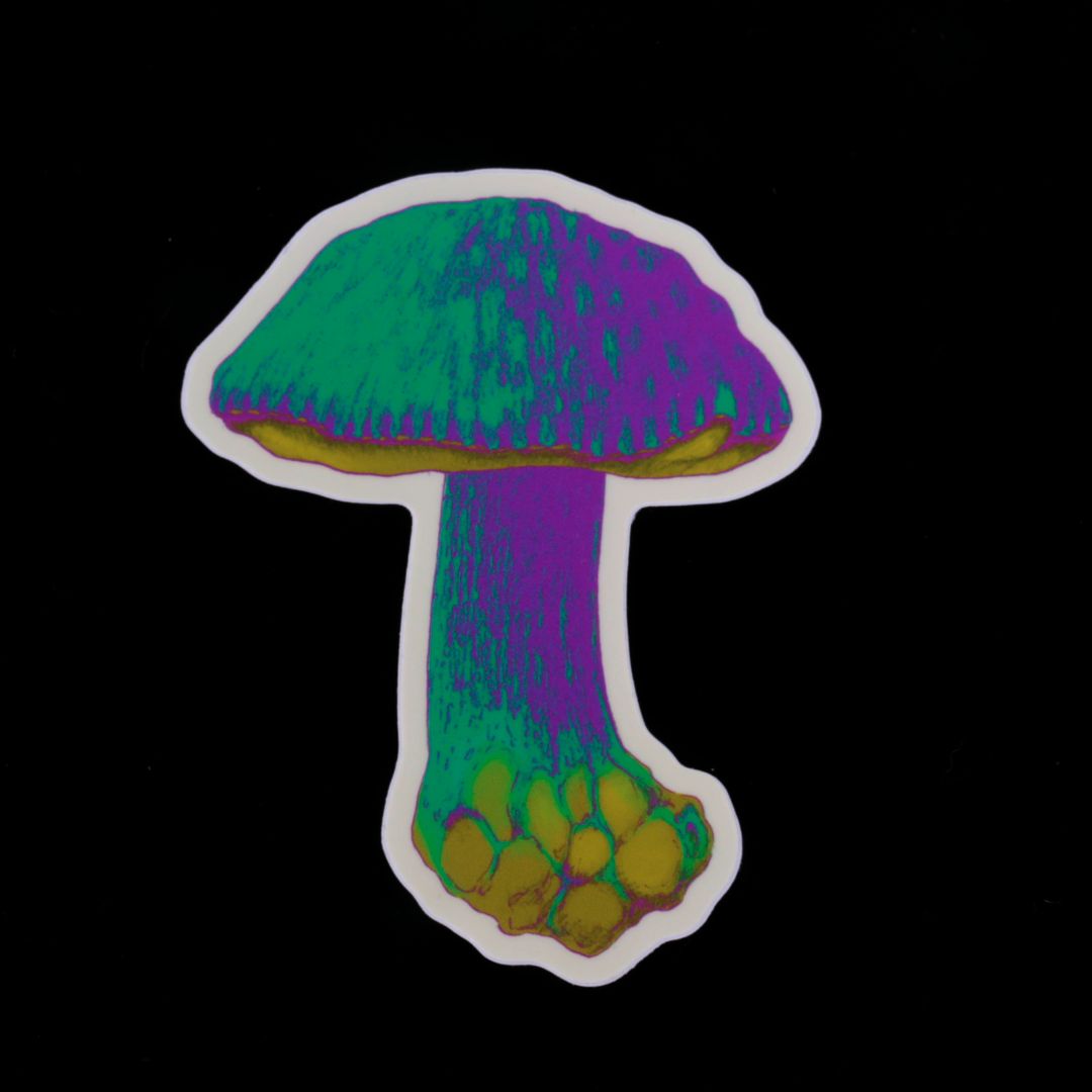 King Bolete Mushroom Sticker