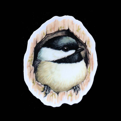 Chickadee in Cavity sticker
