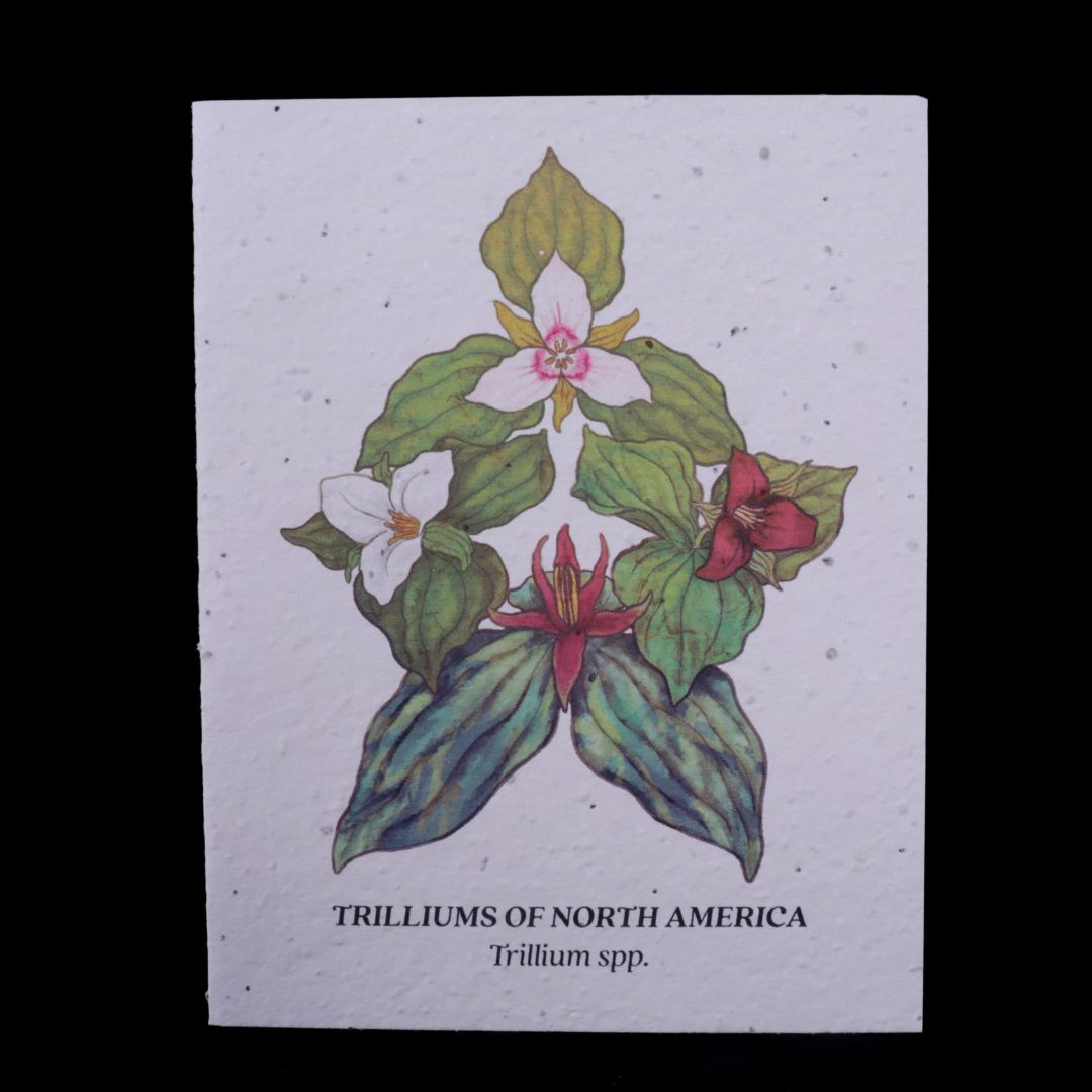 Trillium Compass Plantable Wildflower Seed Card